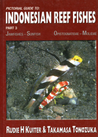 Image of Indonesian Reef Fishes Part 3